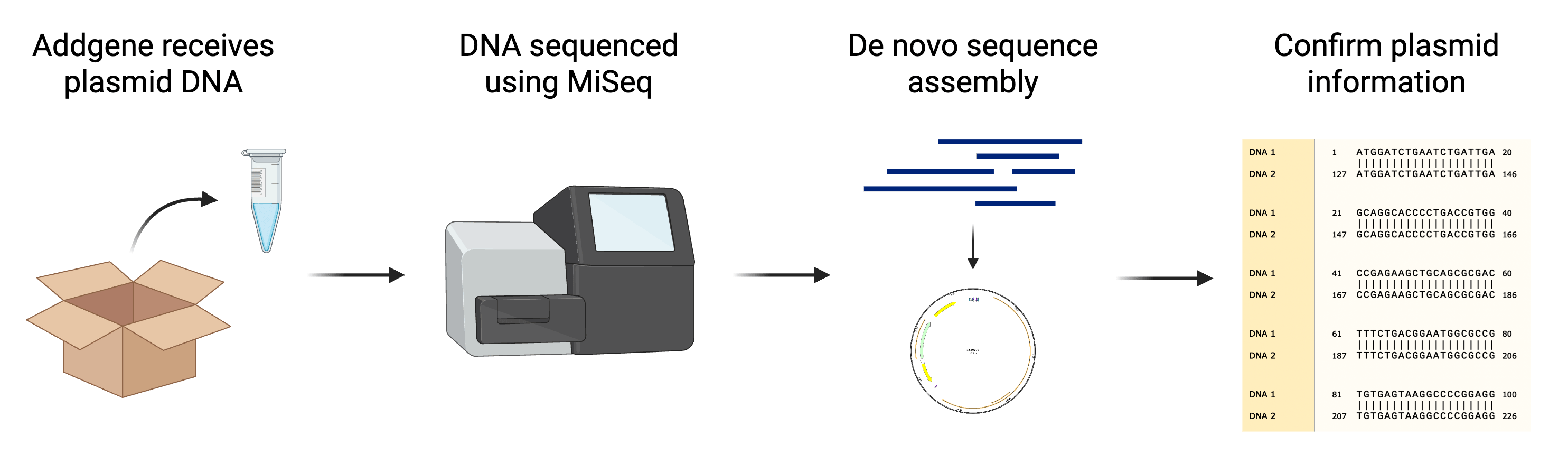 A flow chart depicting the general QC process at Addgene. The first step is Addgene receiving the plasmid DNA, shown as an open cardboard box with a barcoded microcentrifuge tube being removed. The next arrow points to the next step of DNA sequencing using a MiSeq, with a cartoon image of a MiSeq. The next arrow points to the next step of de novo sequence assembly, shown as a collection of short DNA reads pointing to the outcome of an annotated SnapGene plasmid map. The final arrow points to the last step of confirming the plasmid information, shown as a screenshot of an alignment in SnapGene.