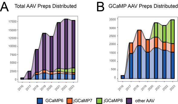 Left: Connected bar chart showing yearly distribution of three generations of GCaMP (see figure legend for details) from 2016-2023. By 2023, approximately 2500 of the 17500 preps distributed are GCaMPs.   Right: Connected bar graph showing yearly distribution of GCaMP6, GCaMP7, and GCaMP8 from 2016-2023. GCaMP6 represents more than half of all distributions, and GCaMP8, first requested in 2020, makes up approximately one-third.