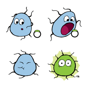 A comic showing a blue bacterium uptaking a GFP plasmid and turning green.