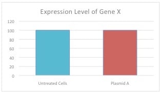 Hypothetical transfection data where Plasmid A expressing an shRNA against Gene X has no effect on Gene X expression levels when compared to untreated cells. Cells were not treated with a control plasmid though.