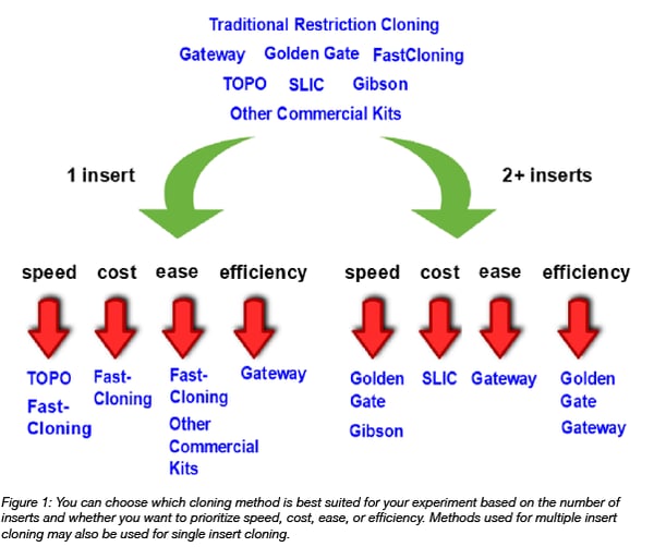 speed, cost, ease, and efficiency are factors to consider when choosing a cloning method