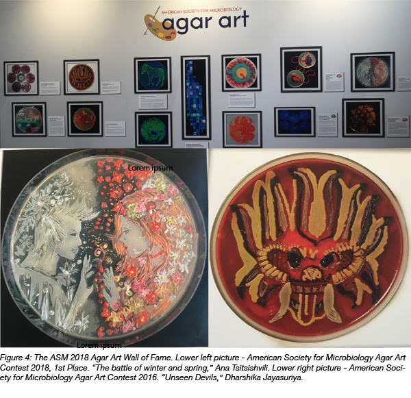 ASM 2018 agar art competition wall of fame