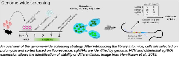 Overview of the mouse CRISPR knockout library