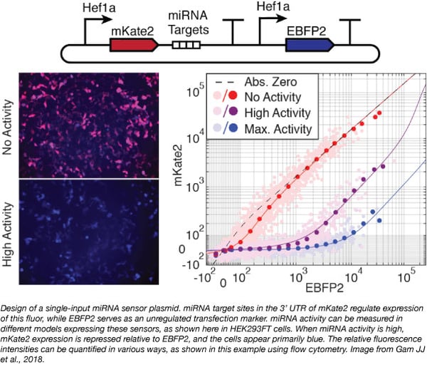 Weiss miRNA sensor collection