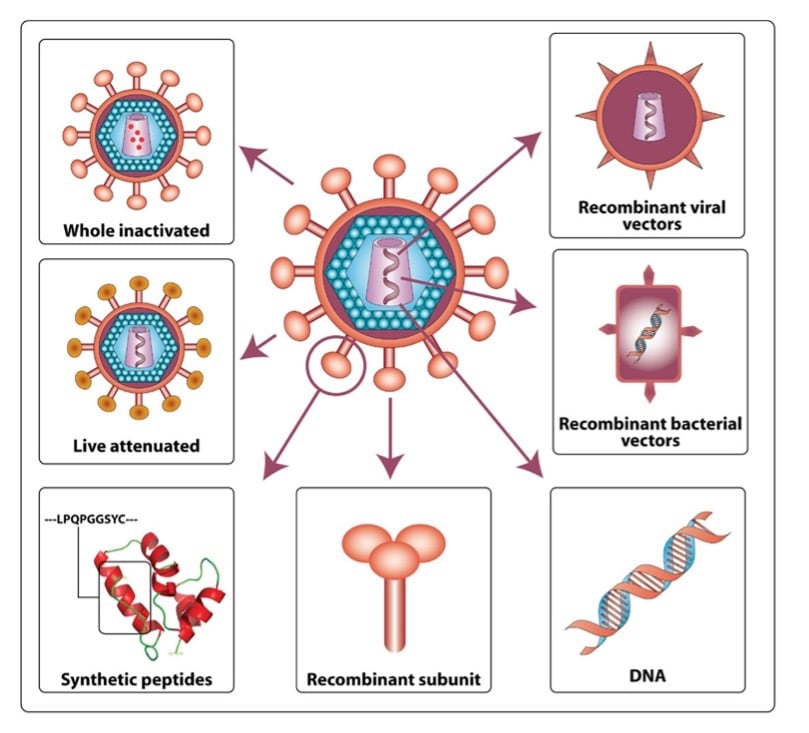 Viral Vectors 101: Viral Applications