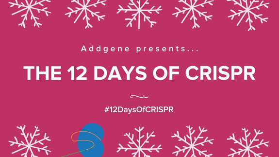 Pink Graphic with white snowflakes, a blue present, and the text "Addgene presents the 12 Days of CRISPR"