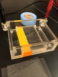 electrophoresis gel box