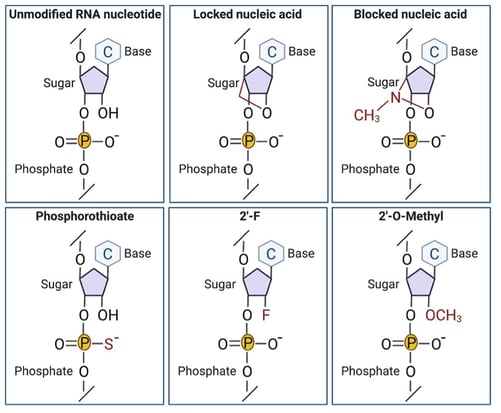 modified gRNA fig. 1-min