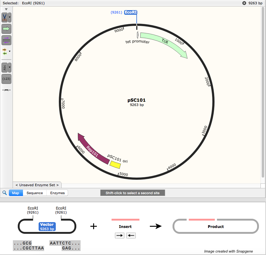 Plasmids 101: A Brief History Of Plasmids And An Improved EBook!