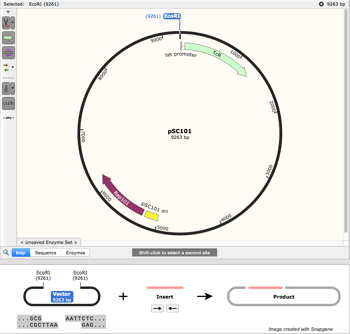 Snapgene plasmid map of pSC101