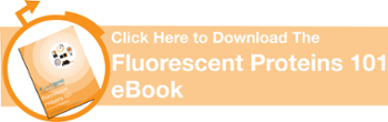 Click to Download the Fluorescent Proteins 101 eBook