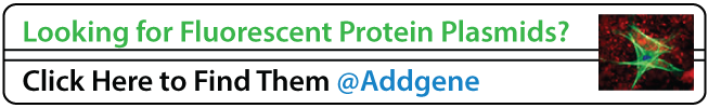 Looking for CRISPR Plasmids? Click here to Find Them at Addgene