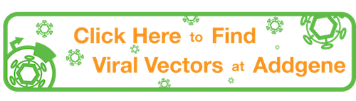 Click Here to Find Viral Vectors at Addgene