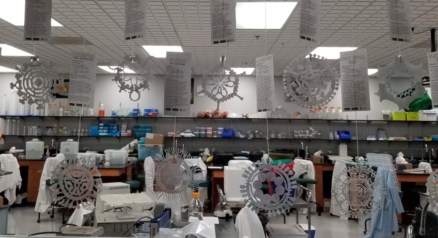 Cut outs of paper snowflakes shaped like viruses hung up on a window to the lab. Descriptions of the viruses are next to the snowflakes.