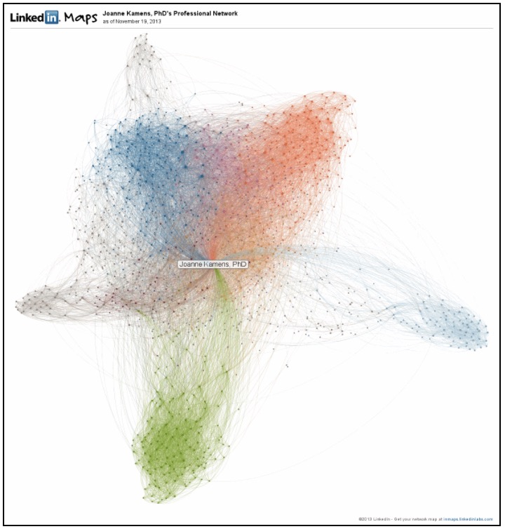 Joanne Kamen's LinkedIn network connections are shown linked to one another. This gives rise to a starfish shape.