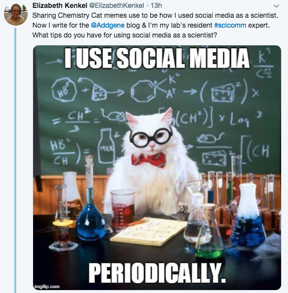 beth_chemistry_cat_twitter