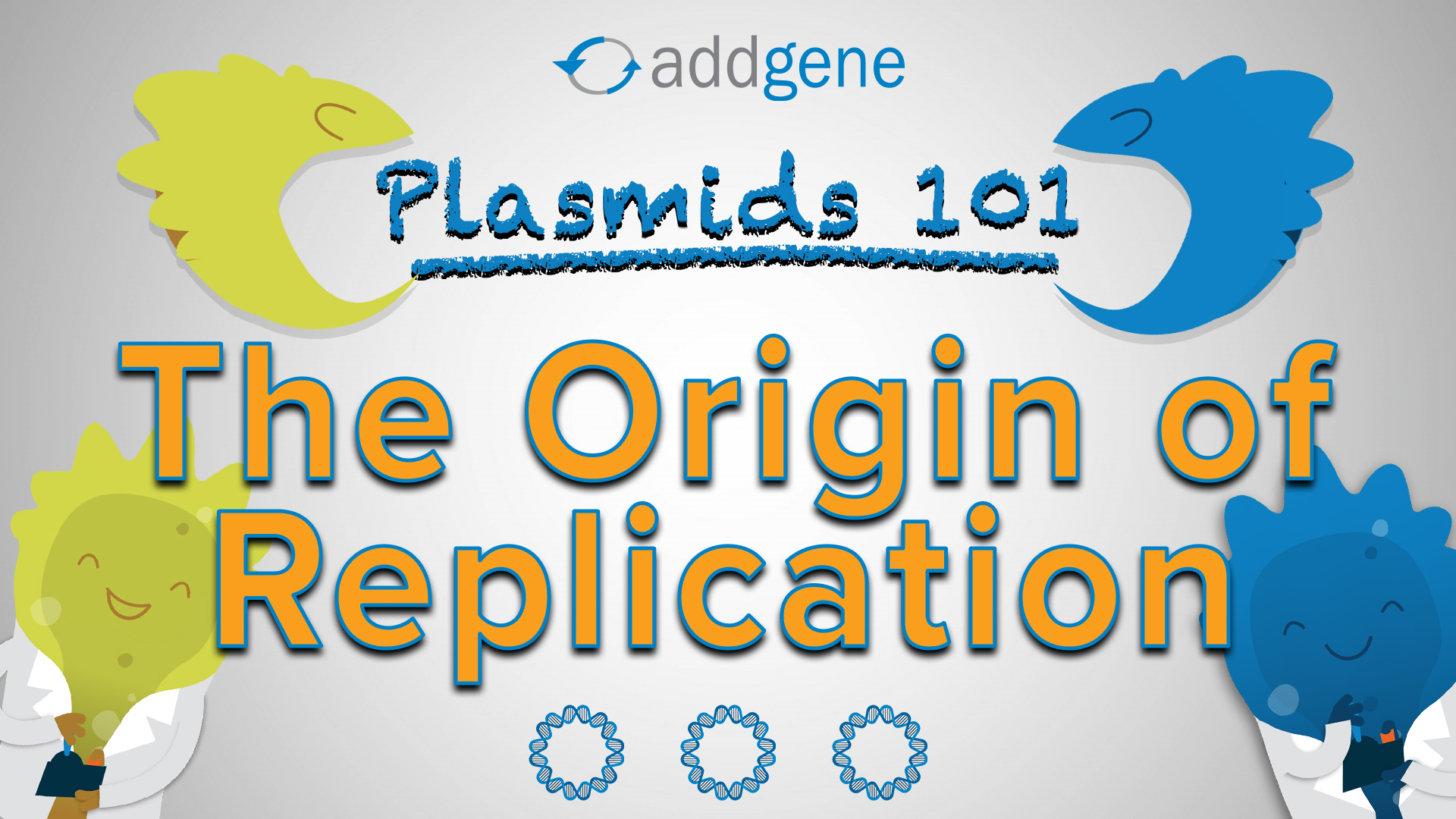 origin of replication bacteria