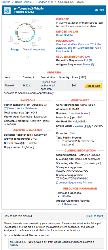 Addgene plasmid page example