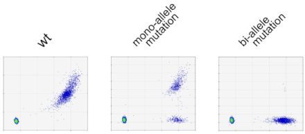 Figure 3 Mismatch Nuclease Assay v Digital PCR-01-010121-edited.png