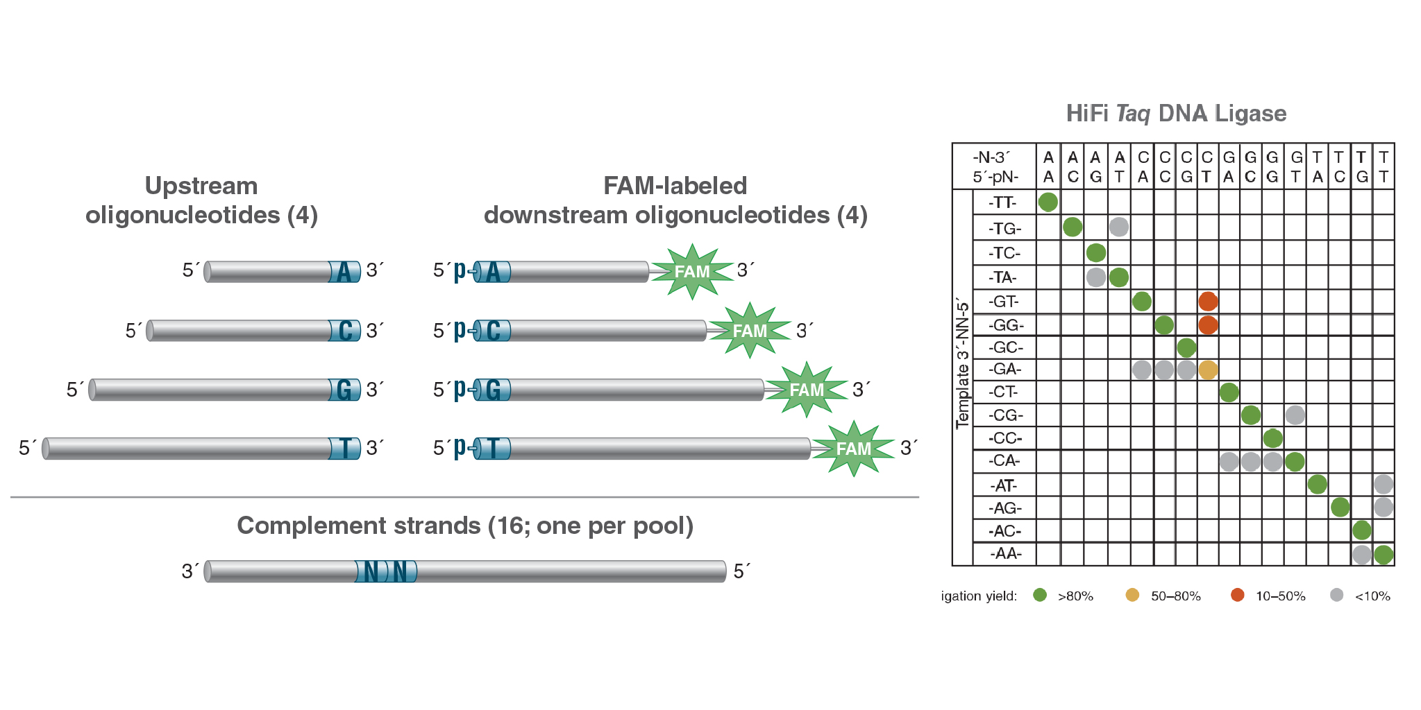 When Fidelity Matters A Frank Discussion About Ligase Fidelity