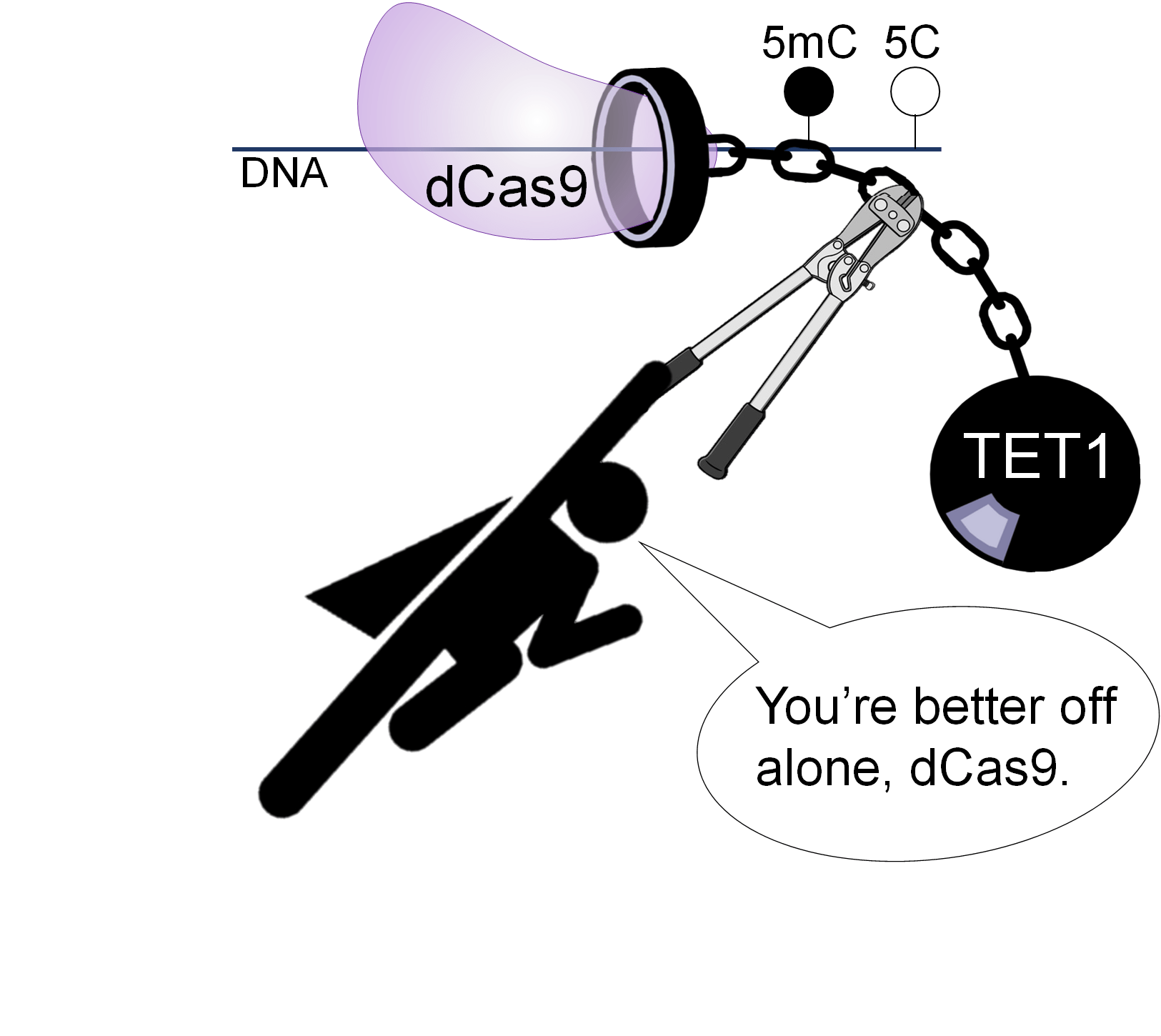 Cartoon depiction of a superhero cutting a chain tethering TET1 to dCas9