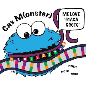comic of illustrating Cas protein binding a gRNA and target DNA. The Cas protein is labelled CasM(onster) and looks like cookie monster. It has a quote bubble that says 