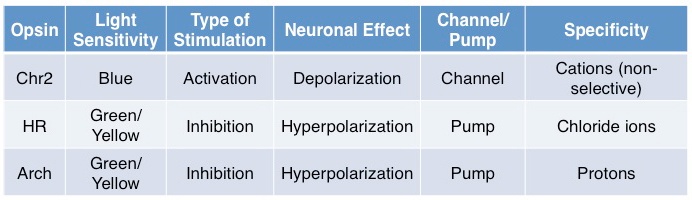 Opsin Table