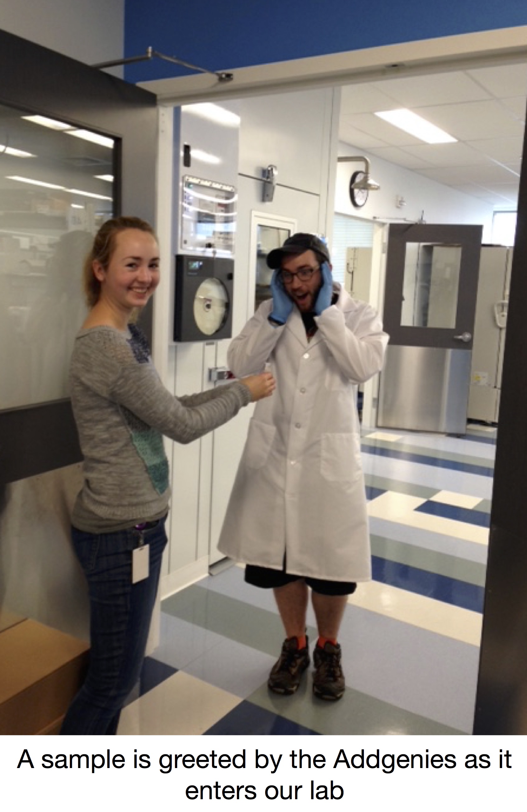 Sample enters the Addgene Lab