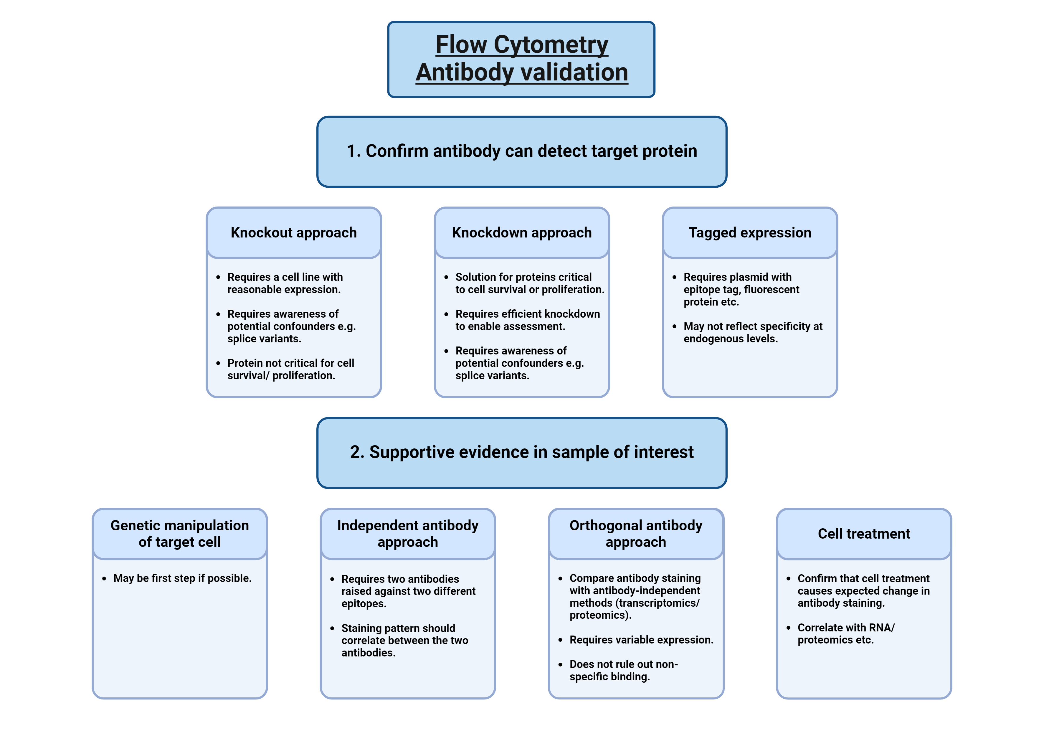 schematic summarizing antibody validation approach for flow cytometry. 