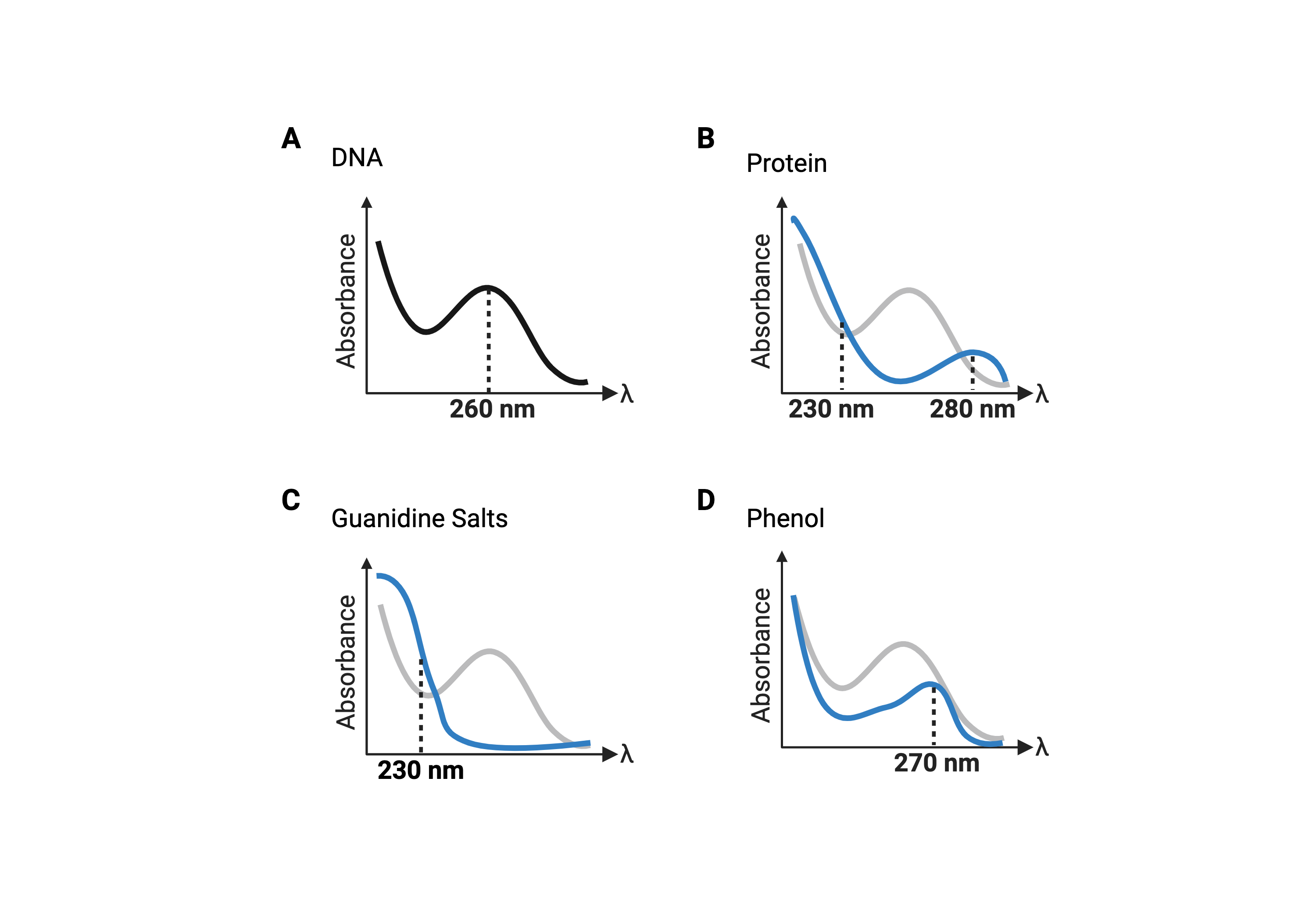 Stereotypical UV absorbance spectra exhibited by DNA and other substances commonly used in DNA purification procedures.