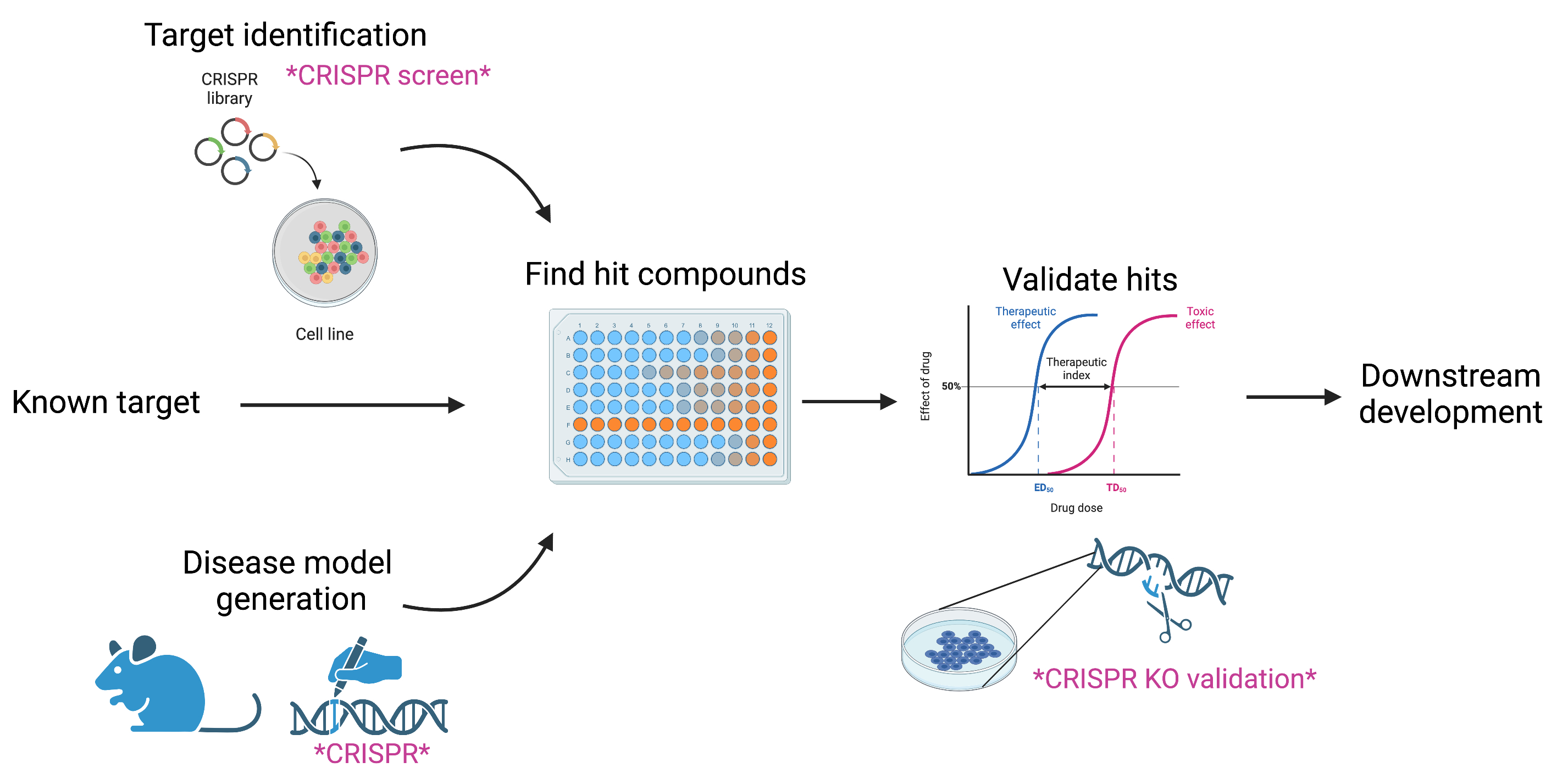 CRISPR contribution in the drug discovery pipeline.