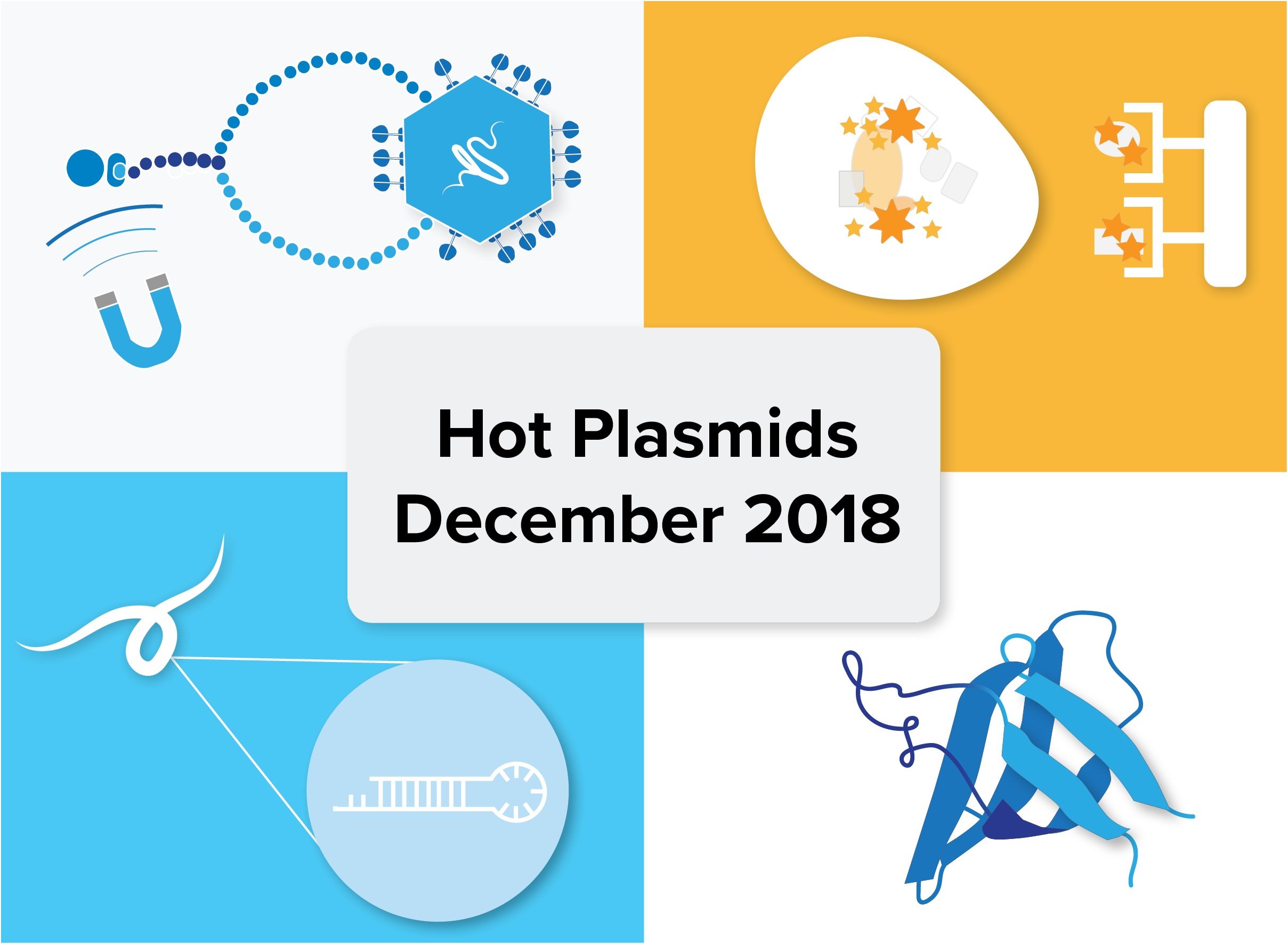 Hot Plasmid Addgene