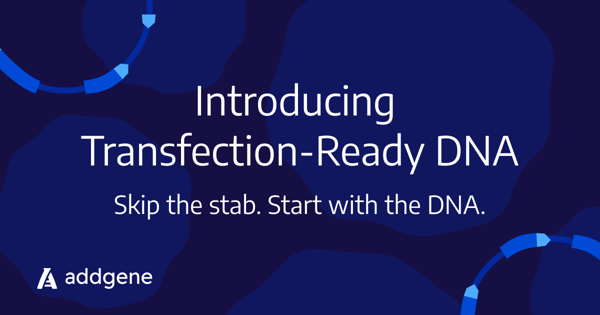 Addgene header graphic announcing Transfection-Ready DNA, tagline 'Skip the stab. Start with the DNA.