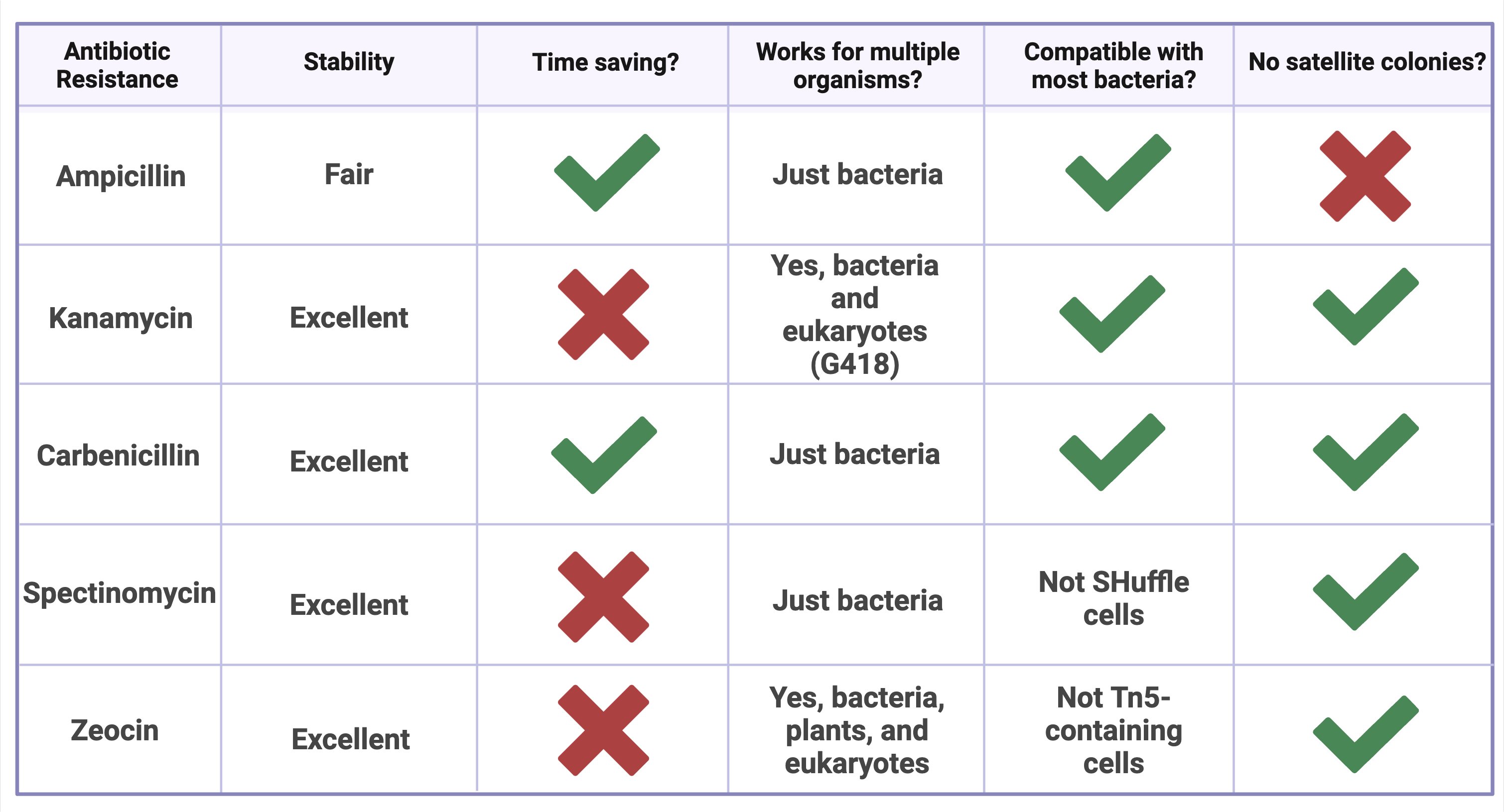 Table outlining the features described in-text of each antibiotic