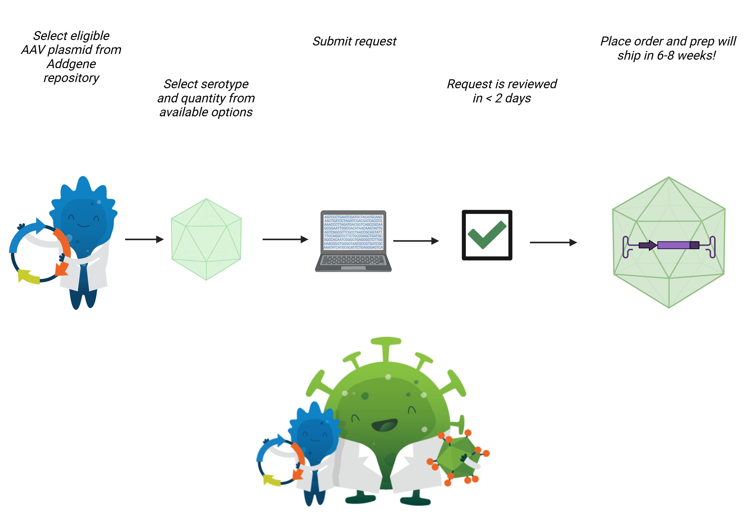 A graphic showing the request to shipping process for Addgene's AAV Packaged on Request service.